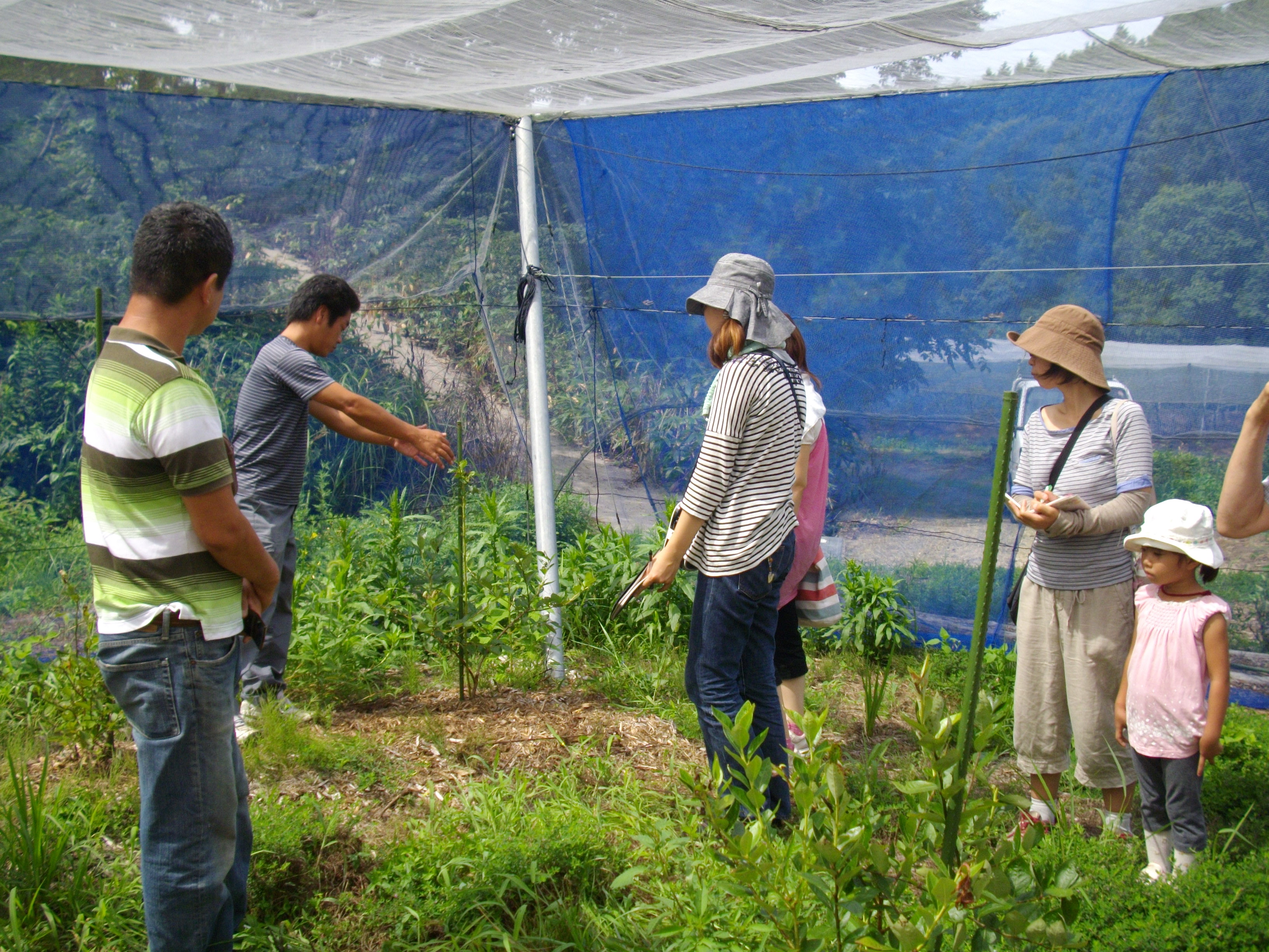 チャレンジナンバー11のメイン画像、有機農業研究会の会員から、無農薬栽培の講習を受ける里山コミッションの会員