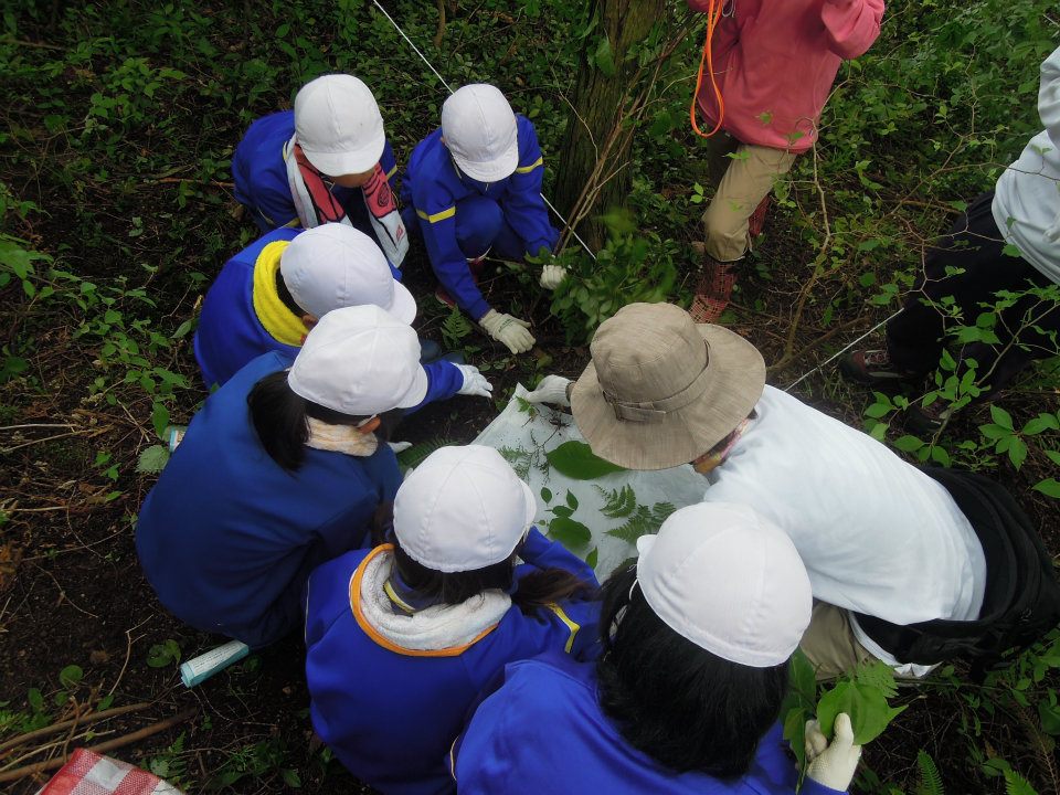 市内の森に生息する植物を調査する小学生を案内する会員