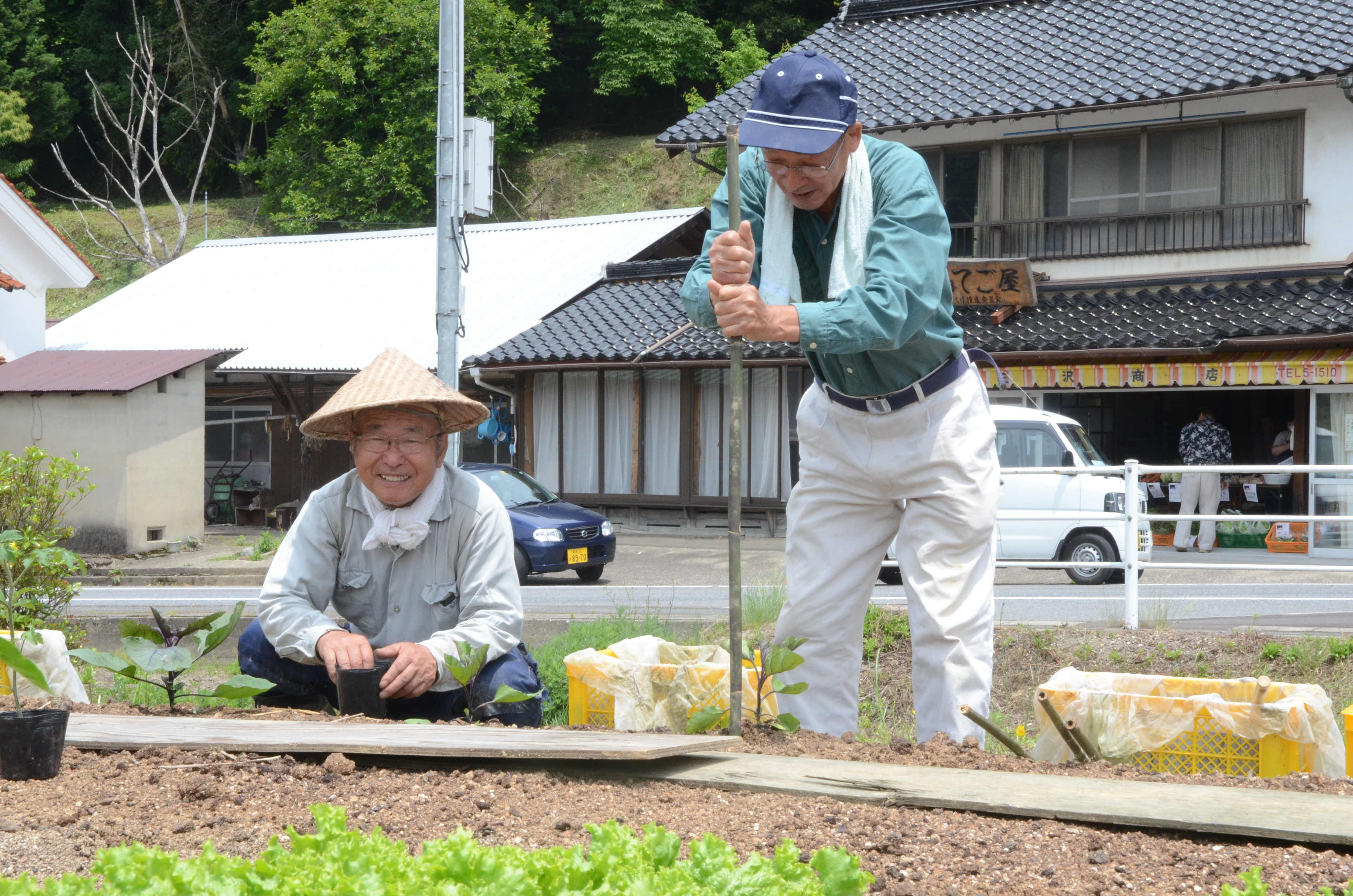 野菜市の向かい側の畑で収穫する委員会の会員