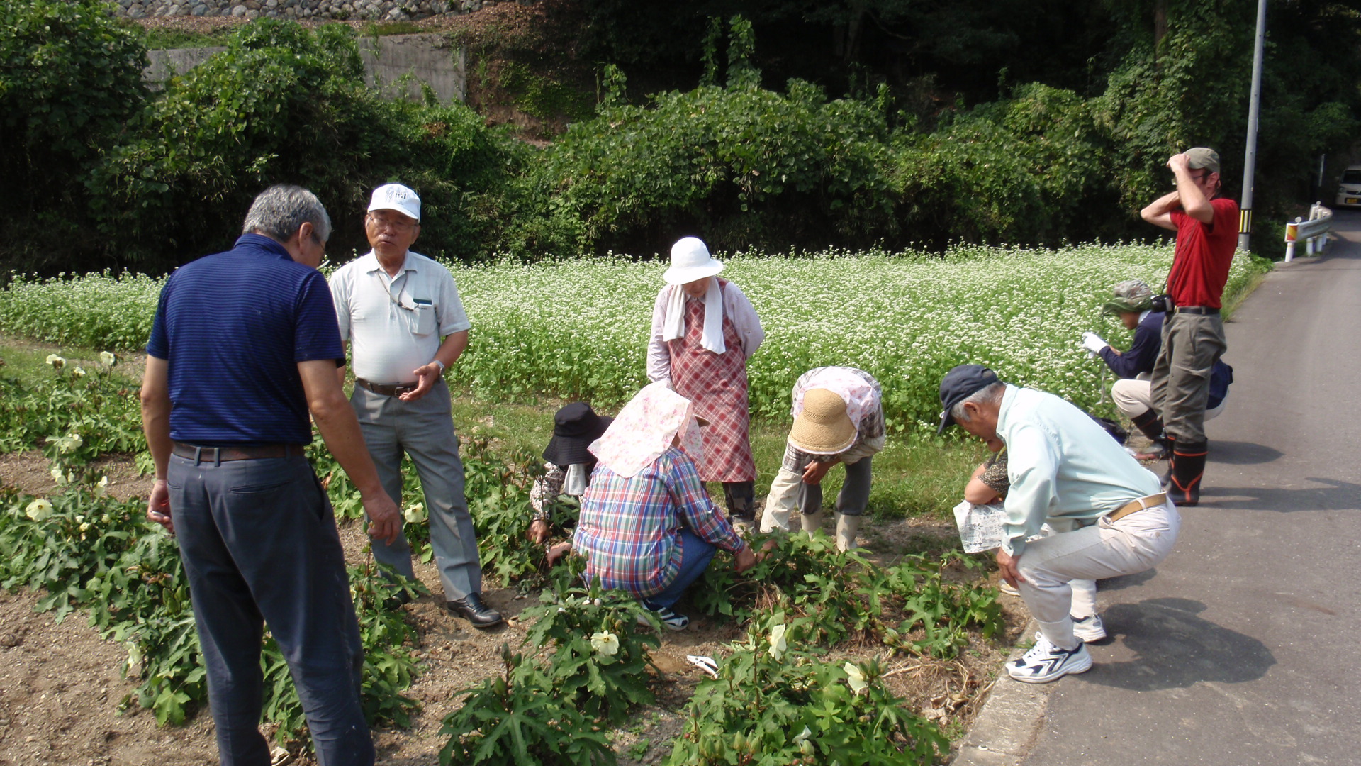 休耕地で薬草やコウゾなどを栽培する委員会の会員